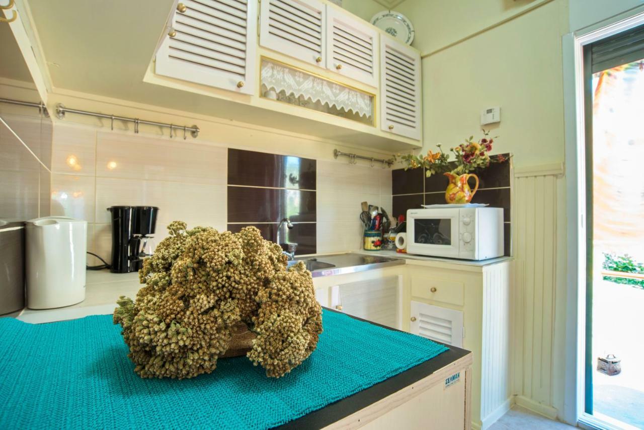 Alexandra Apartment Gaios Dış mekan fotoğraf